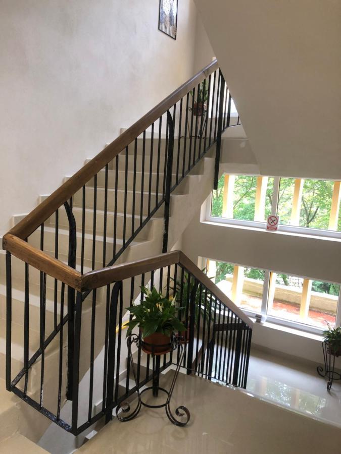 Casa Bocan Geoagiu Băi Zewnętrze zdjęcie